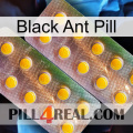 Black Ant Pill new10